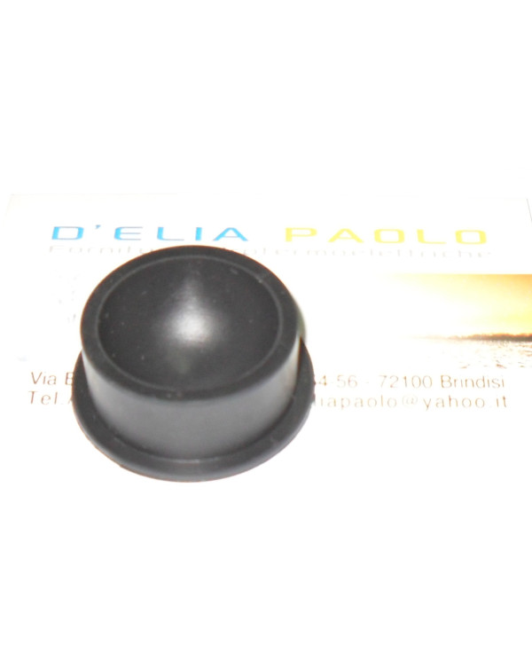 Risultati immagini per deliapaolo tremolada